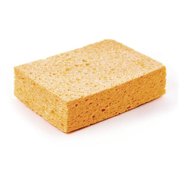 Cellulosasvamp